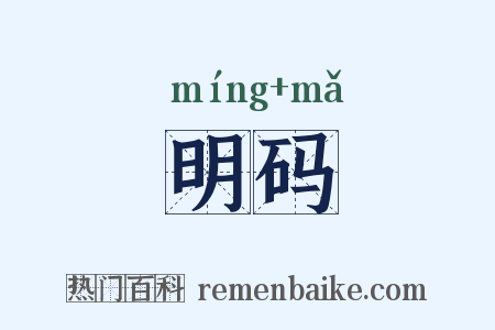 明码是什么意思的图片